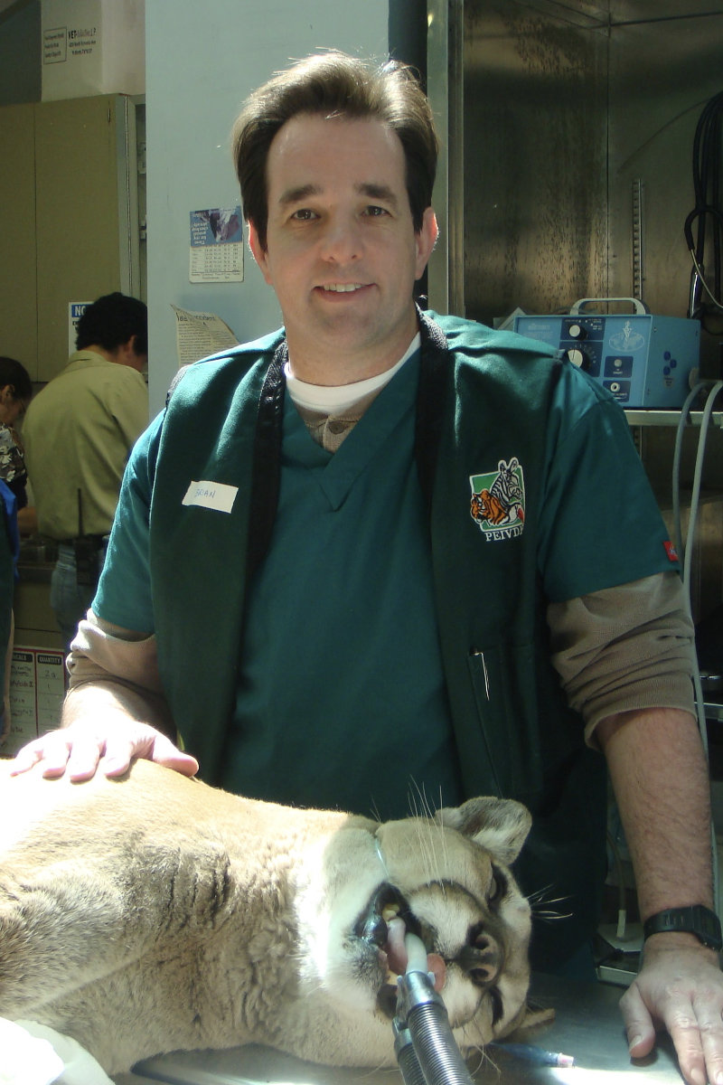 Dr. Hewitt with a puma